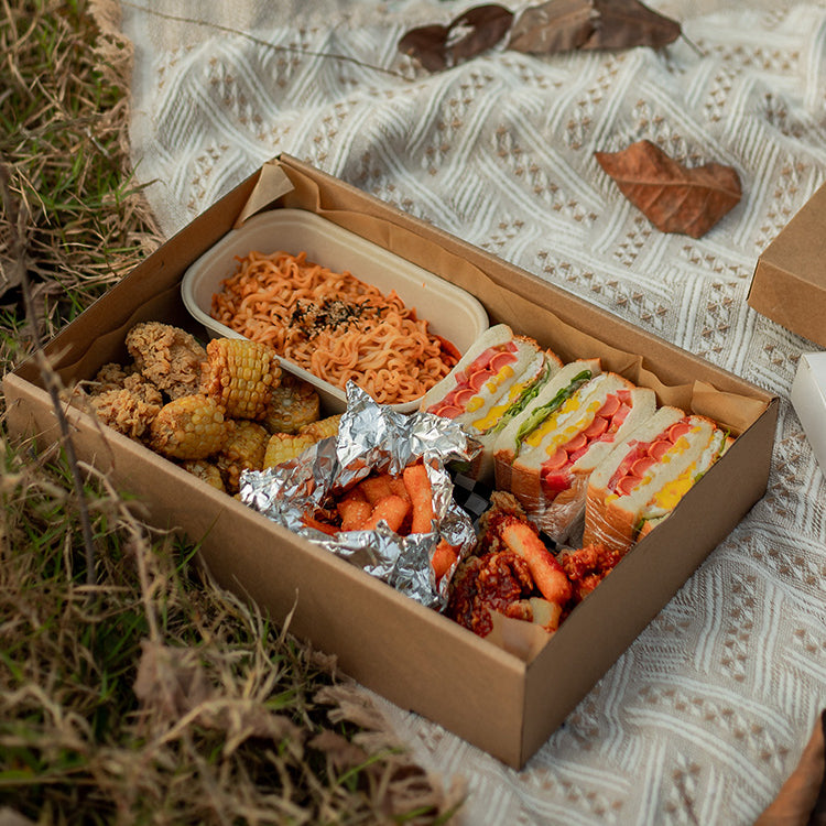 Large Disposable Picnic Takeout Box Set of 10