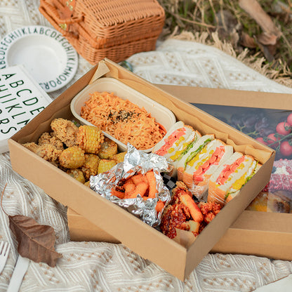 Large Disposable Picnic Takeout Box Set of 10