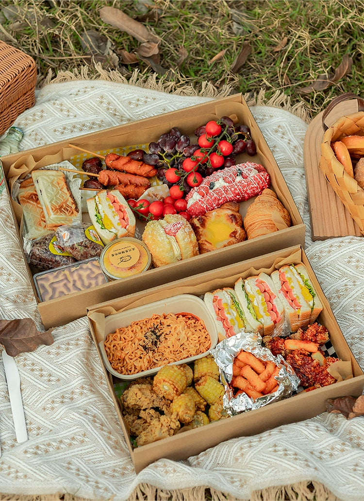 Large Disposable Picnic Takeout Box Set of 10