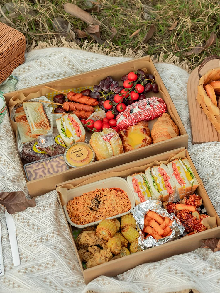 Large Disposable Picnic Takeout Box Set of 10