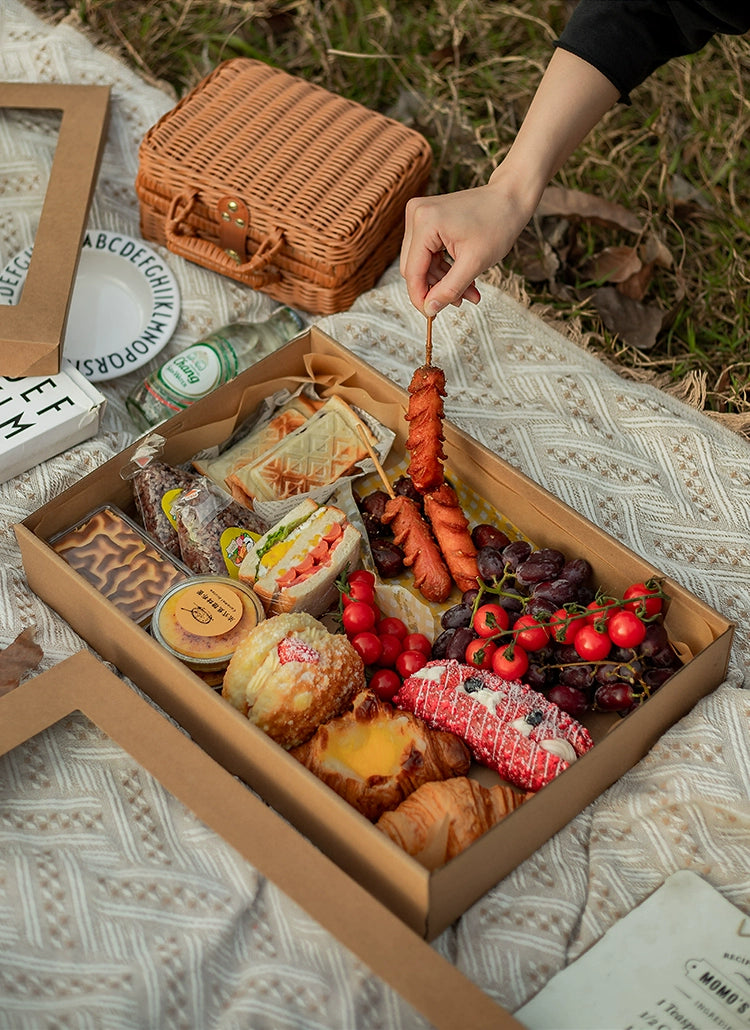 Large Disposable Picnic Takeout Box Set of 10